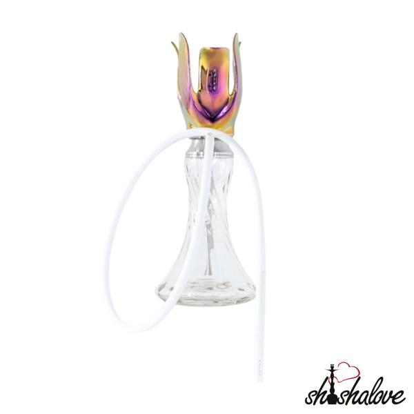 Anima TULIP Bloom